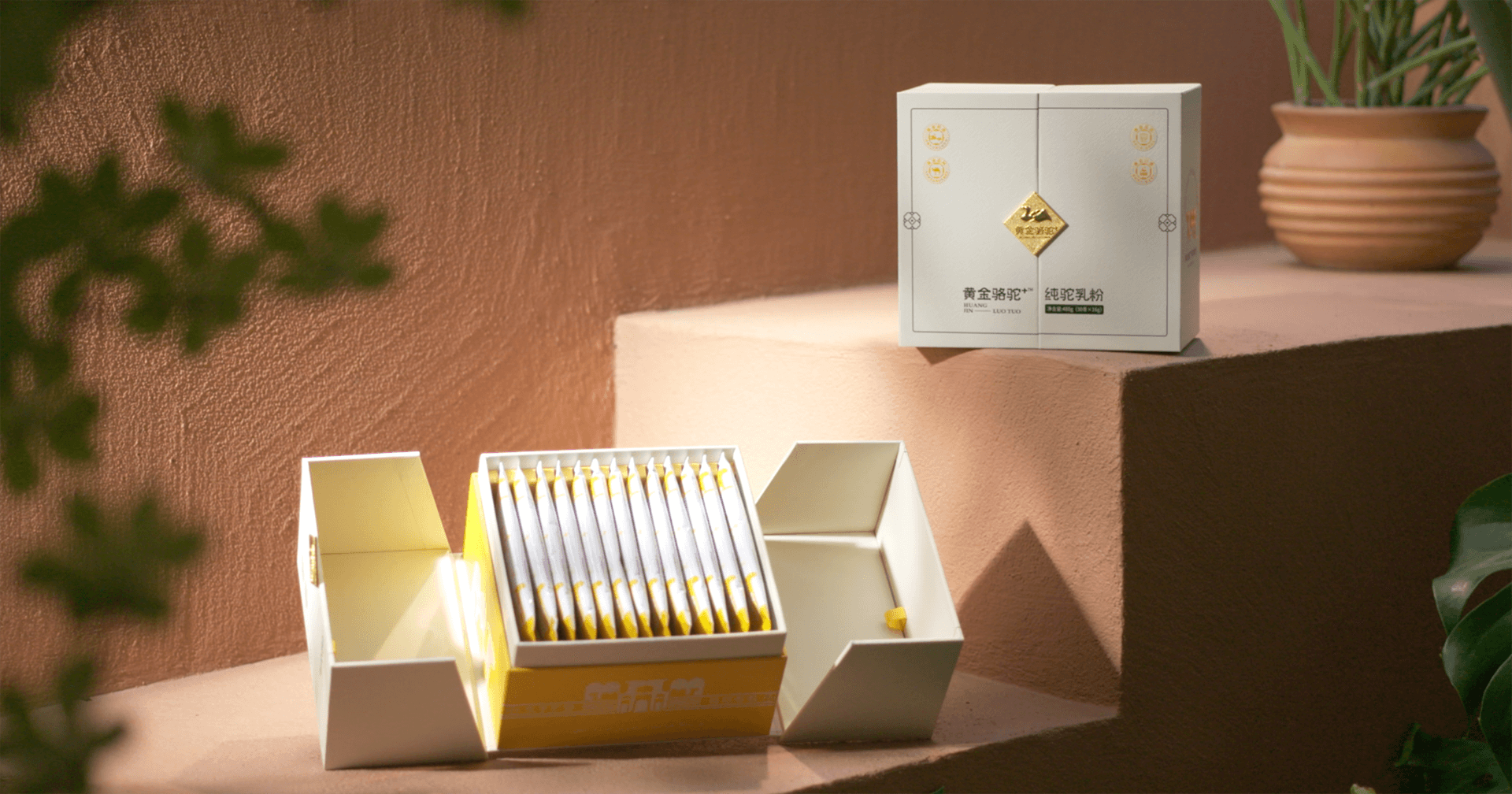 定位小众高端乳粉，J9九游会老哥俱乐部推出驼奶品牌“黄金骆驼+”，角逐乳品新市场！