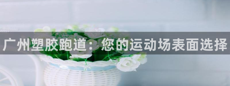 尊龙手机官方客户端下载安卓：广州塑胶跑道：您的运动场表面选择