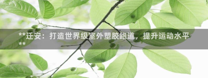 凯时登录平台去AG发财网：**迁安：打造世界级室外塑胶跑道，提升运动水平
**