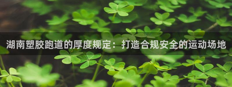 尊龙新版App下载：湖南塑胶跑道的厚度规定：打造合规