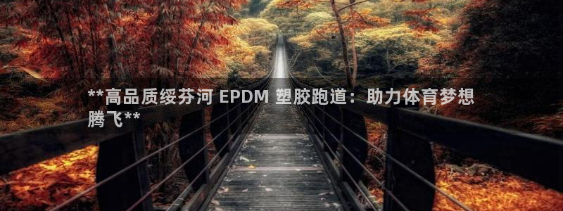 尊龙凯时平台还是万搏好：**高品质绥芬河 EPDM 塑胶跑道：助力体育梦想
腾飞**