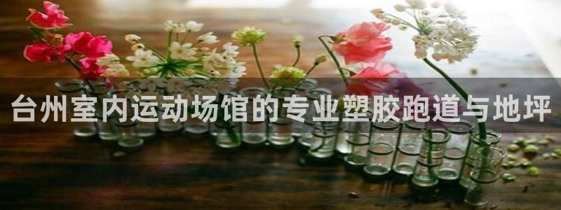 尊龙凯时平台官网：台州室内运动场馆的专业塑胶跑道与地