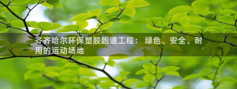 ZL尊龙凯时集团：齐齐哈尔环保塑胶跑道工程： 绿色、安全、耐
用的运动场地