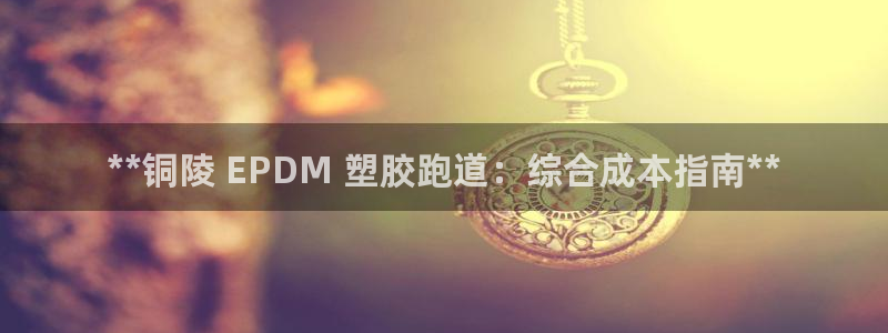 尊龙凯时平台正规吗：**铜陵 EPDM 塑胶跑道：综合成本指南**