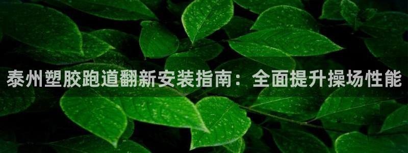 尊龙z6网址：泰州塑胶跑道翻新安装指南：全面提升操场性能