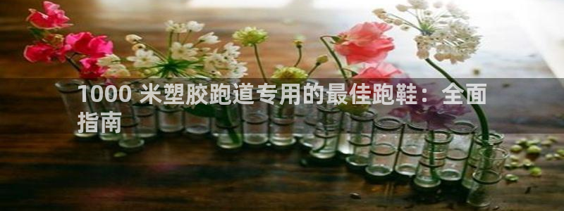 尊龙凯时注册：1000 米塑胶跑道专用的最佳跑鞋：全面
指南