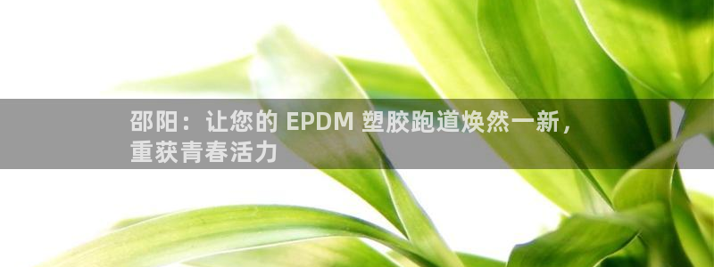 尊龙注册码：邵阳：让您的 EPDM 塑胶跑道焕然一新，
重获青春活力