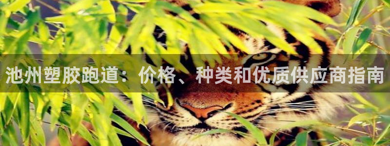 尊龙凯时为什么输了钱：池州塑胶跑道：价格、种类和优质供应商指南