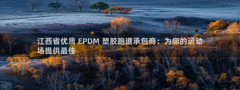 尊龙人生就是博手机版下载：江西省优质 EPDM 塑胶跑道承包商：为您的运动
场提供最佳